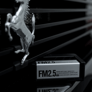 FM2.5 Fcking Matte Hold